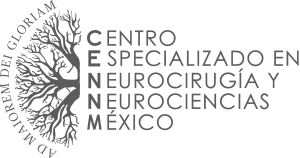 Logo CENNM GRIS