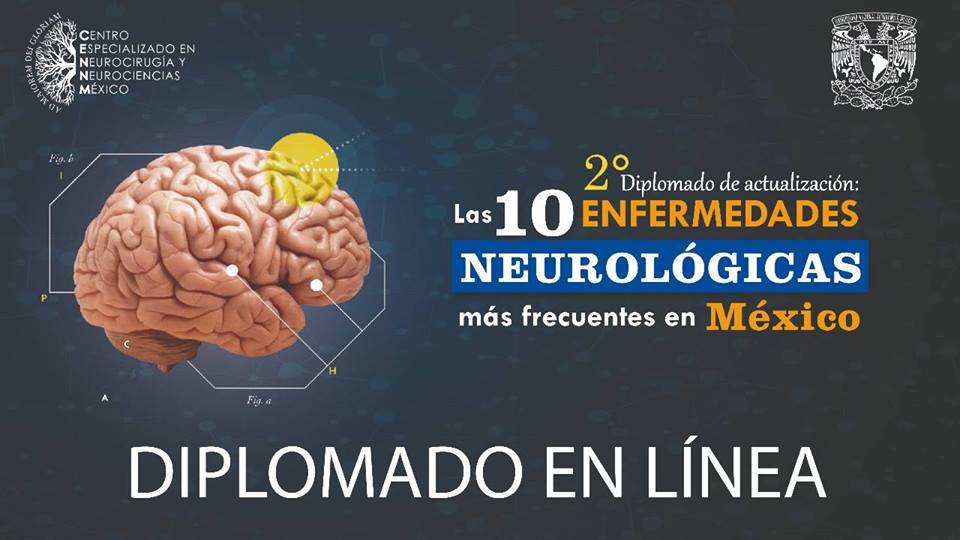 diplomado