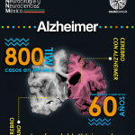 La Enfermedad Alzheimer es la causa más frecuente de deterioro cognitivo en personas mayores de 60 años. Afecta inicialmente la memoria de hechos recientes y progresa afectando otras áreas hasta la inhabilitación completa.