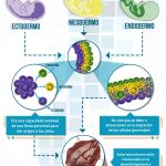 Teratomas